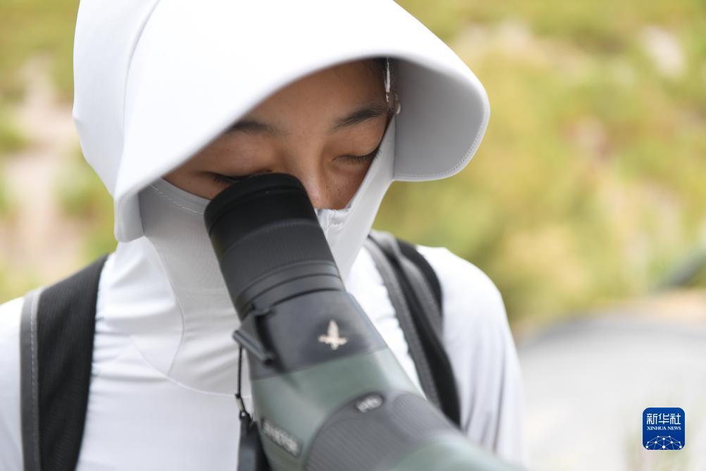 巴黎人真钱网投